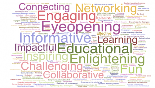 Results from the Leadership Greenville Alumni Survey